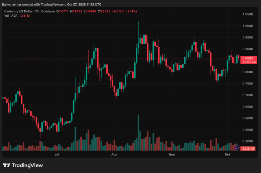 Coinbase 持股量激增 462%，第四季度炒作升温，Cardano (ADA) 价格或将突破 0.94 美元
